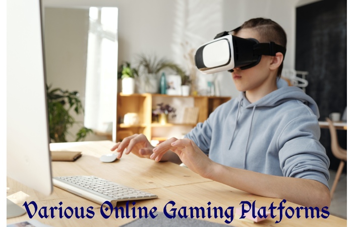 Online Gaming Platforms