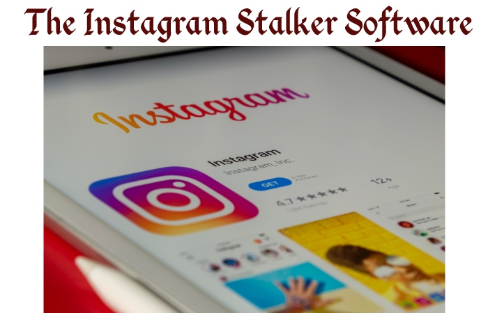 Instagram Stalkers
