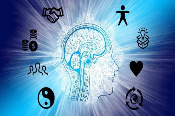 The Concept of Wellness