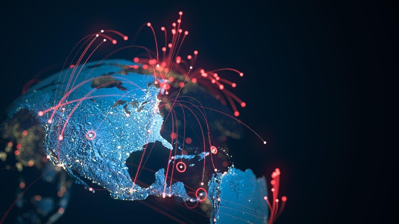 Web Portal Connectivity