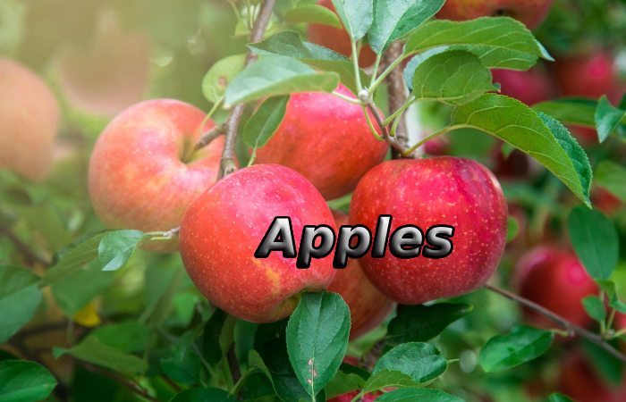 Apples