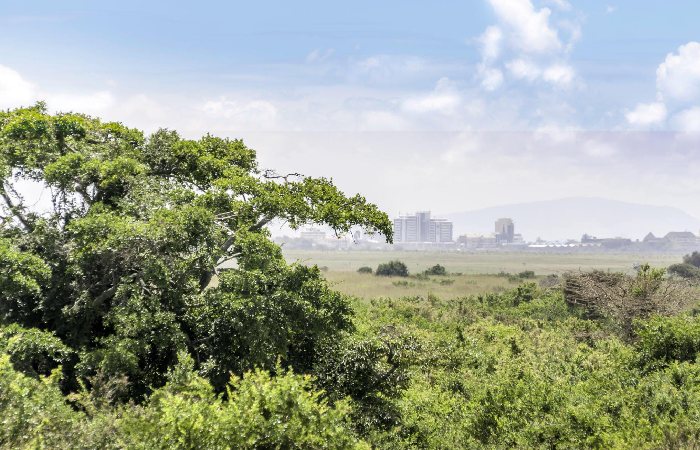 Accommodations in Nairobi National Park