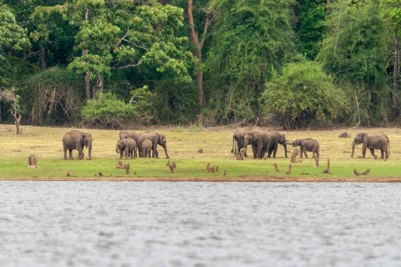 National Park Nairobi